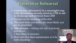 Memory Part 2 Short TermWorking Memory [upl. by Erb]