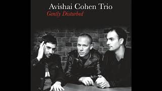 Avishai Cohen  Umray [upl. by Yrro333]