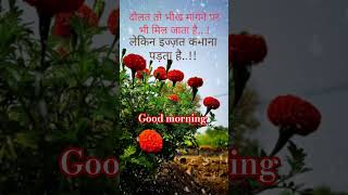 Good morning status ❣️🫶❣️😍🥰  Chal diya Dil tere pichhe  Naturals flower Love 💕 Hindi Song 🥰😘 [upl. by Khano963]