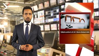 ዜና ሽወደን ትግርኛ Svenska nyheter på tigrinja 12 Augusti 2020 [upl. by Amek7]