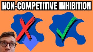 NONCOMPETITIVE INHIBITION EXPLAINED [upl. by Kimberli427]