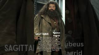 shorts hagrids hagrid harrypotter harrypotterfan harrypotterfacts harrypotteredit universe [upl. by Sullivan]