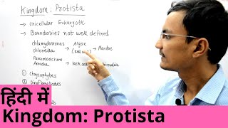 Kingdom Protista in Hindi [upl. by Annaicul]