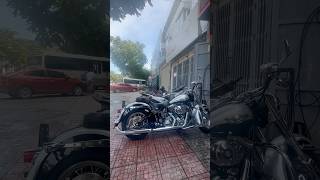 Heritage Softail 100th anniversary 2003 harleydavidson softail [upl. by Aissat]