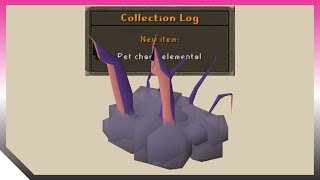 Chaos Elemental Pet Drop 🦑🌩️ OSRS Old School RuneScape [upl. by Naltiak]