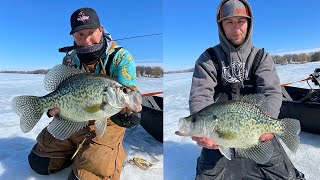 GIANT CRAPPIES ON PROTOTYPE LURE First Ice 2023 is Here [upl. by Hollis]