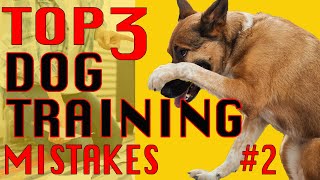 3 MISTAKES in Dog Training and How to AVOID Them 2  DOWN from SIT [upl. by Nylirahs426]