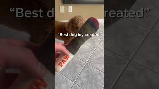 Best dog toy ever created😂🐶 dog dogaccessories dogproduct goldendoodle dogtoys doglover [upl. by Fleda]