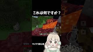 ※音声なしでごめんね🥲 マイクラ初心者 マイクラ ゲーム女子 ゲーム実況 チャンネル登録お願いします [upl. by Rramaj286]