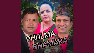 Phulma Bhamara [upl. by Helbona336]