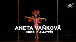 Aneta Vaňková  Czech Pole Art 2024  Junioři B Amatéři [upl. by Eelessej]