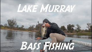 February Bass Fishing  San Diego CA [upl. by Ram22]