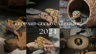 Leopard Gecko Care Guide 2024  Rosies Reptiles [upl. by Aihsitan599]