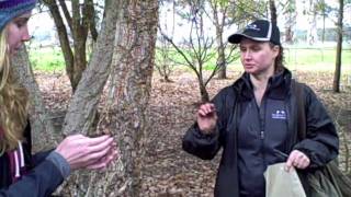 Truffle Hunting in Western AustraliaLA Times Travel [upl. by Ayarahs]