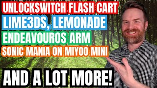 Nintendo Switch Flash Cart scene is about to explode 3DS Emulation Improvements and more [upl. by Hudgens]