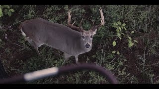 Bloodline  Whitetail Deer Hunting Film  Mossy Oak [upl. by Katsuyama]