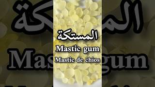 أهم الفوائد الصحية للمستكةMastic gum benefitsMastihaLes bienfaits du Mastic de Chiosshorts [upl. by Nillek]