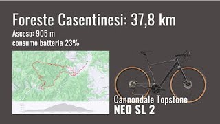 Foreste Casentinesi 16 set 23 [upl. by Kroy]