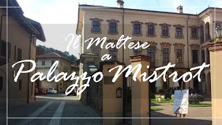 Il Maltese a Palazzo Mistrot  Three events in Villarbasse [upl. by Erual]