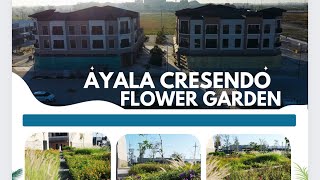 LOOK “Discover the Enchanting Ayala Cresendo Flower Garden in Central Tarlac City [upl. by Chelsey]