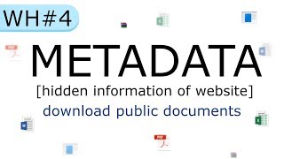 Website information gathering with metadata extraction using FOCA amp Metagoofil  WH 4 [upl. by Kavanaugh]