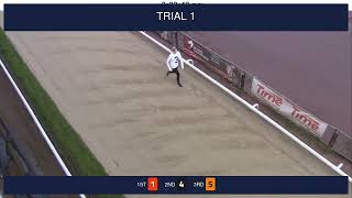 Sheffield Trials on 20th October 2024 [upl. by Jaenicke]