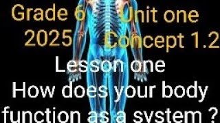 unit one  concept 21 lesson one  How does your body function as a system Grade 6 2025 [upl. by Wendt43]