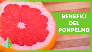 BENEFICI del POMPELMO 🍊✅  Proprietà del POMPELMO Come consumarlo e Controindicazioni [upl. by Aeneg]