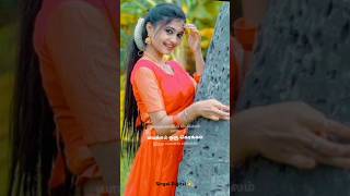 Chinna chinna sethi solli WhatsApp status  photography  Singai Digital reels  candidphotograph [upl. by Guendolen96]