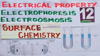 SC28Electrophoresis and Electro osmosisSurface ChemistryTN 12th STD Explanation in TAMIL Unit 10 [upl. by Naelopan144]