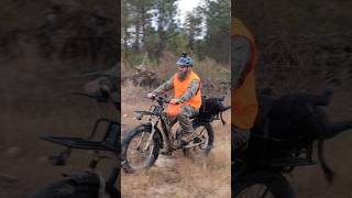 Wild Boar Hog on a Ebike viralvideo viralshorts like ebike puckipuppy fyp hunting pig [upl. by Enelyar]