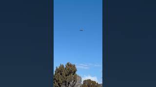 Falconry training a hawk to soarhawk [upl. by Broddie]