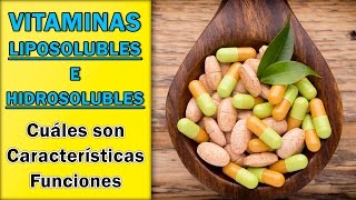 Vitaminas Liposolubles e Hidrosolubles  Cuáles Son Características Funciones [upl. by Nicks829]