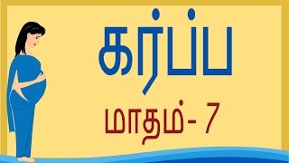 Pregnancy  Tamil  Month 7  கர்ப்பம் மாதம் 7  Week 25 to Week 28 [upl. by Ahseken]