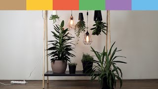 DIY Indoor Garten oder Where to place your plants [upl. by Dibbell]