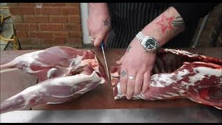 How To Butcher A Deer At HomeThe ultimate deer butchery videoVENISON [upl. by Yelsnik134]