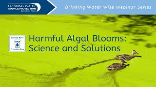 Harmful Algal Blooms Science and Solutions  Drinking Water Wise Webinars  Source Water Protection [upl. by Yance]