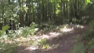 Traverse City Triathlon Run Course Trail [upl. by Yorgerg]