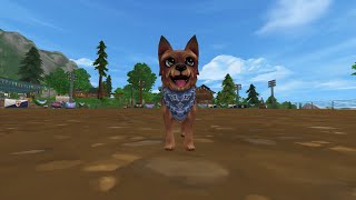 Star stable online  How to get Archie pet dog [upl. by Bouchard]