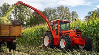 Oldtimer Hakseldag Dalen 2024  Classic maize harvesting  Dozens of tractors amp choppers [upl. by Enirtak]