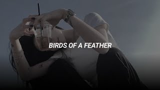 birds of a feather  billie eilish slowed  reverb [upl. by Ecienaj]