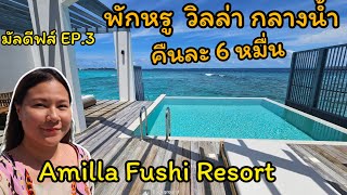 🇲🇻Maldives EP3 มัลดีฟส์ Amilla Fushi Resort เพื่อนเล่นใหญ่ บิ๊กเซอร์ไพร์ส น้ำตาแทบไหล [upl. by Astto]