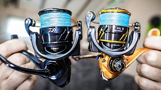 Reels amp Rods for Light Tackle Fishing [upl. by Ahsirk]