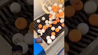 Shredder Machine VS Plastic Ball shredder egg satisfying boll shortsfeed [upl. by Yewed]