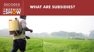 Agriculture in India Agricultural Subsidies Classification of Subsidies explained for UPSC SEBI [upl. by Breeze12]