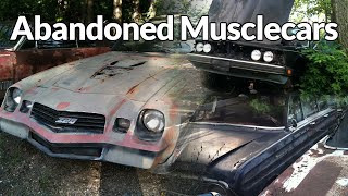 Maryland Muscle Car Junkyard  Camaro Z28 Pace Car Yenko Falcon Wagon etc [upl. by Swift116]