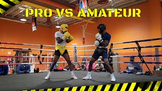 PRO VS AMATEUR  MALIK O DOG SMALLS VS STACEY SELBY  SPAR WARS [upl. by Rattray]