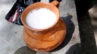 Pulque Natural bebida ancestral  Mexican Drink Pulque [upl. by Rego149]