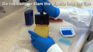 Multichannel Pipetting [upl. by Dleifyar]