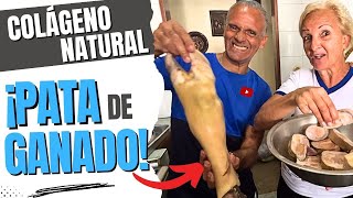 ¿Cómo preparar gelatina de pata de res  Receta fácil para obtener colágeno puro [upl. by Rratsal26]